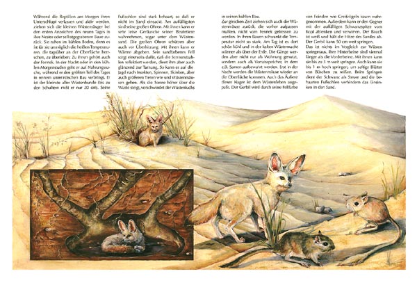 Sahara S&auml;ugetiere